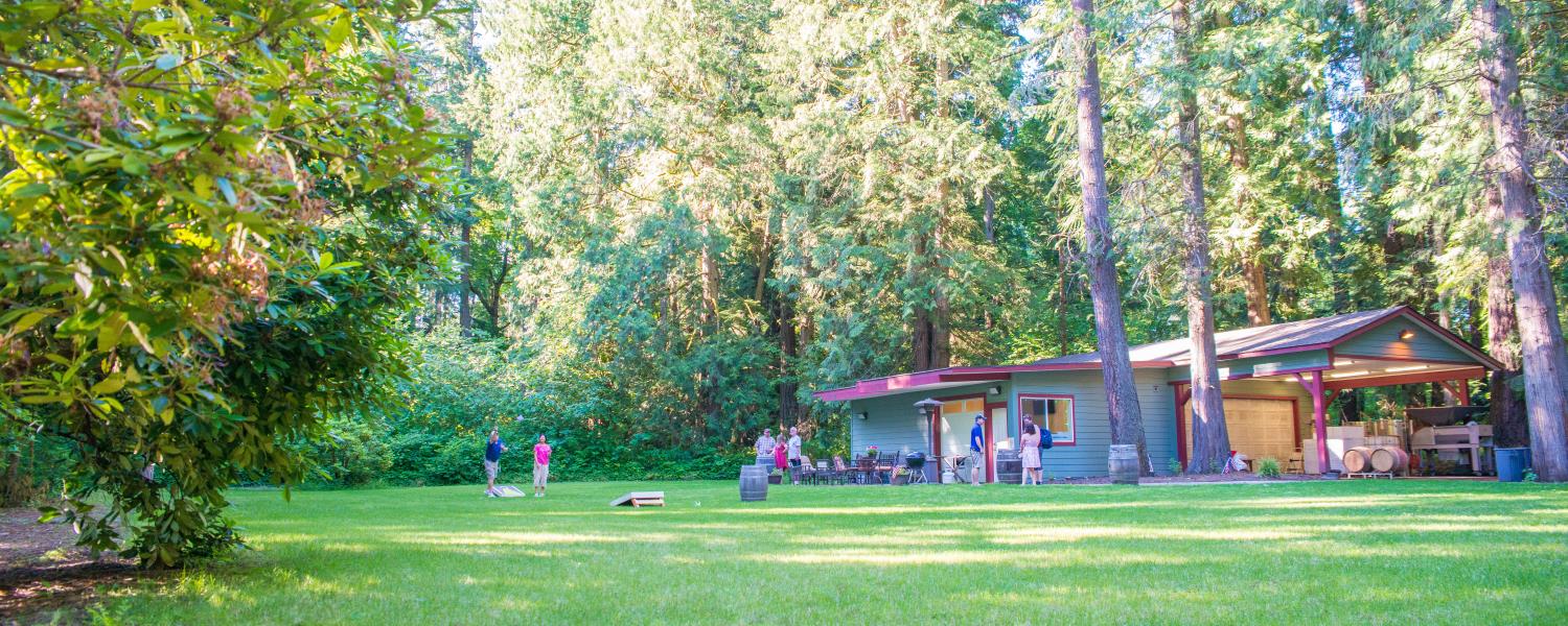 Cedar River Cellars Picnic Area is a large park-like space with green grass and tall old growth cedar trees.  A couple are playing the game cornhole.